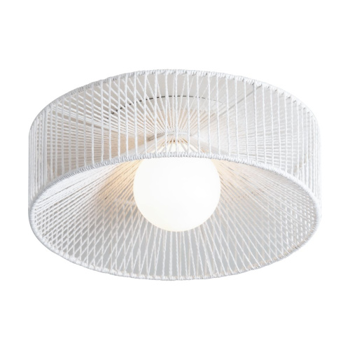 Потолочный светильник Freya Cottage FR5405CL-01W фото 3