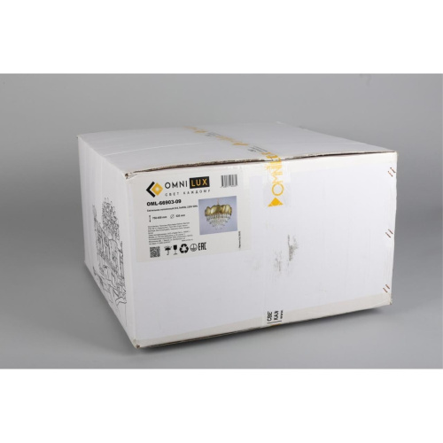 Люстра подвесная OML-66903-09 фото 2