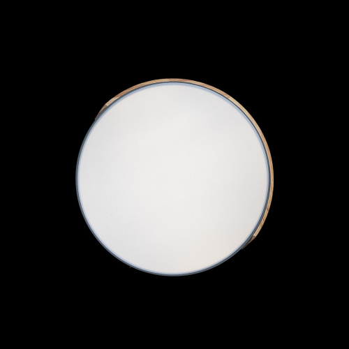 10004/36 Grey Потолочный светильник LOFT IT Axel фото 6 10004/36 Grey Потолочный светильник LOFT IT Axel фото 6