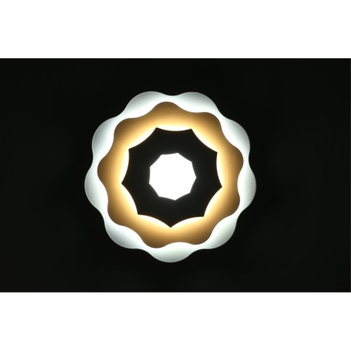 Светильник настенный (Бра) OML-07901-26 фото 3