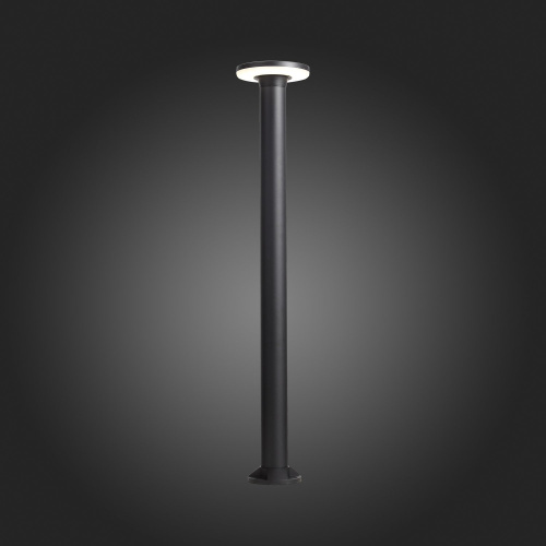 SL087.415.01 Светильник уличный наземный ST-Luce Черный кварцевый LED 1*12W 4000K CONTARIO фото 10