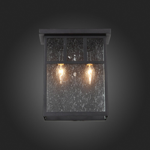 SL079.401.02 Светильник уличный настенный ST-Luce Темный кофе/Прозрачное кракелированное стекло E14 GLAZGO фото 3