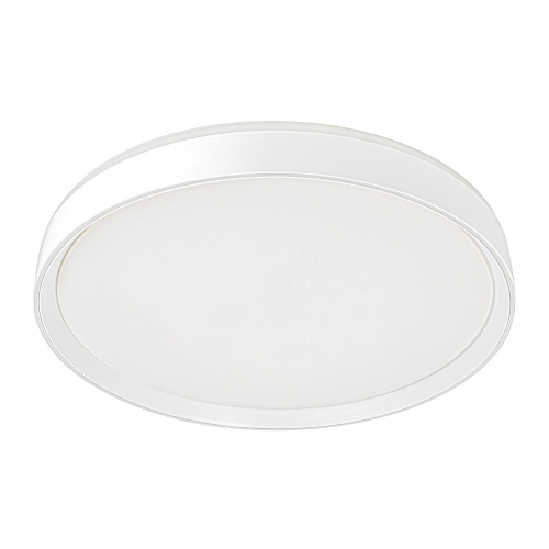 Citilux BOSS CL751450G LED RGB Светильник с пультом Белый фото 2