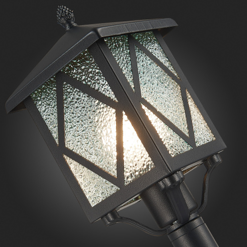 SL084.415.01 Светильник уличный наземный ST-Luce Черный/Черный, Прозрачный E27 1*60W LORNE фото 9