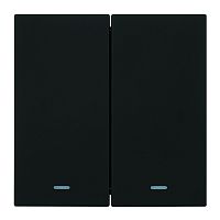 Выключатель 2-клавишный c индикатором (механизм), STEKKER, 250В, 10А, серия Мия, RSW10-3102-05, черный бархат