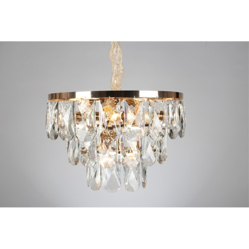 Люстра подвесная OML-72913-09 фото 5