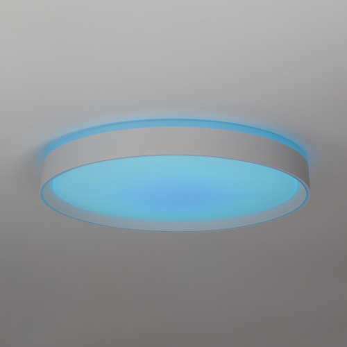 Citilux BOSS CL751450G LED RGB Светильник с пультом Белый фото 9