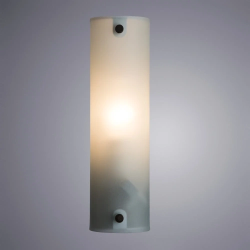 Подсветка для зеркал Arte Lamp TRATTO A4101AP-1WH фото 2 Подсветка для зеркал Arte Lamp TRATTO A4101AP-1WH фото 2