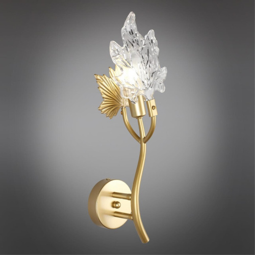 Светильник настенный (Бра) OML-52701-01 фото 3 Светильник настенный (Бра) OML-52701-01 фото 3