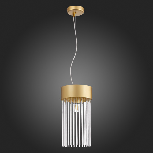SL1225.203.01 Светильник подвесной ST-Luce Золотистый/Золотистый, Прозрачный E27 1*60W CONTATTO фото 6