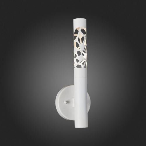 SL1577.501.01 Светильник настенный ST-Luce Белый/Белый LED 1*5W 3000K FIZORIO фото 3