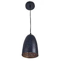 Подвесной светильник Arte Lamp BUCHINO A1615SP-1BK