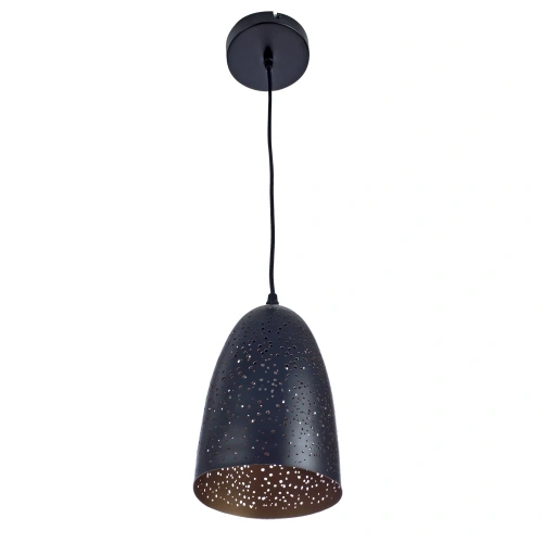 Подвесной светильник Arte Lamp BUCHINO A1615SP-1BK