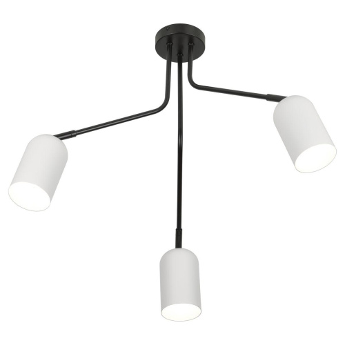 Потолочная люстра Rivoli Rosalinda 3167-303 Б0064987 фото 2 Потолочная люстра Rivoli Rosalinda 3167-303 Б0064987 фото 2