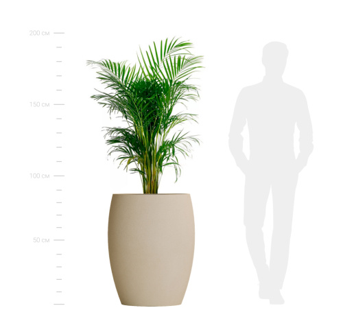 Кашпо OVAL SAHARA фото 2 Кашпо OVAL SAHARA фото 2