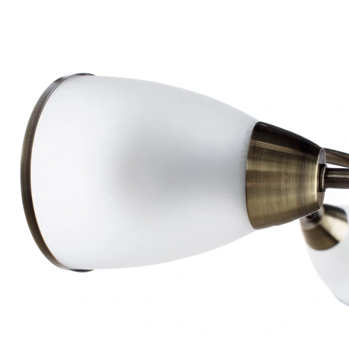 Потолочная люстра Arte Lamp INNOCENTE A6056PL-3AB фото 3 Потолочная люстра Arte Lamp INNOCENTE A6056PL-3AB фото 3