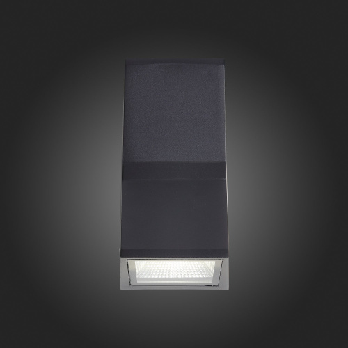 SL088.431.02 Светильник уличный настенный ST-Luce Черный кварцевый LED 2*7W 4000K DEALE фото 5
