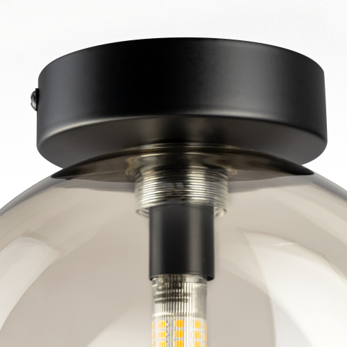 Citilux ORTON CL202511 Светильник Дымчатый фото 9 Citilux ORTON CL202511 Светильник Дымчатый фото 9