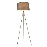 Напольный светильник (торшер) Freya FR5152-FL-01-GR