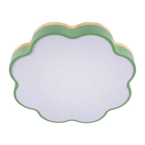 10225/36 Green Потолочный светильник LOFT IT Axel фото 7