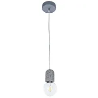 Подвесной светильник Arte Lamp BENDER A4321SP-1GY