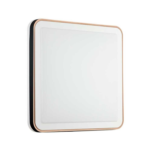 Настенно-потолочный светодиодный светильник Sonex Akuna 7621/DL фото 8