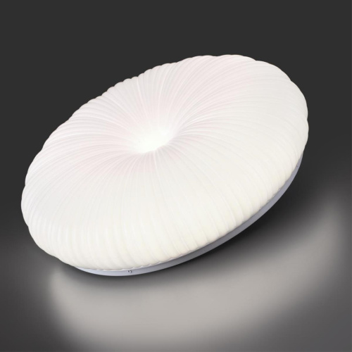 Настенно-потолочный светильник Sonex PALE 7678/ELN фото 4