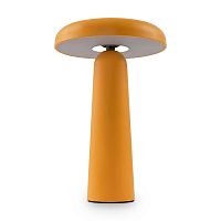 Настольная аккумуляторная лампа Freya Mushroom FR6109TL-L4OR