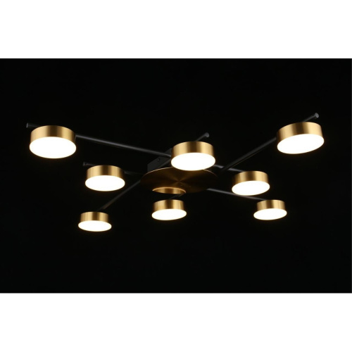 Люстра потолочная APL.042.07.56 фото 8 Люстра потолочная APL.042.07.56 фото 8