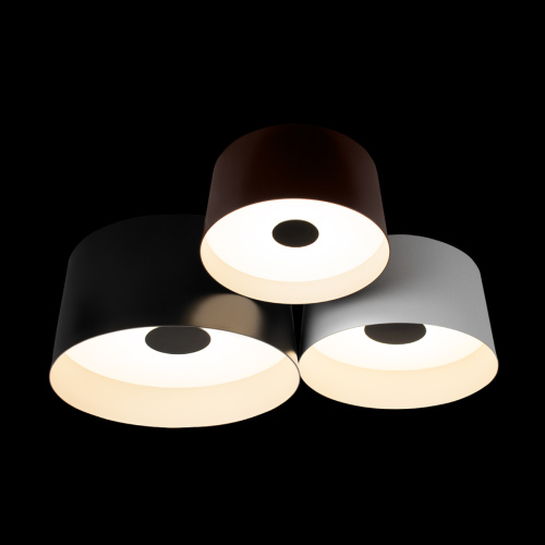 10360/3 Потолочный светильник LOFT IT Duo фото 2 10360/3 Потолочный светильник LOFT IT Duo фото 2