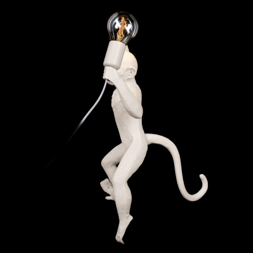 10314W/B Настенный светильник LOFT IT Monkey фото 4