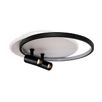 Потолочный светильник Freya Прожекторы / Spotlights FR6083CL-L106WB