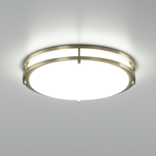 Citilux Бостон CL709323N LED Светильник с диммером Бронза фото 10 Citilux Бостон CL709323N LED Светильник с диммером Бронза фото 10
