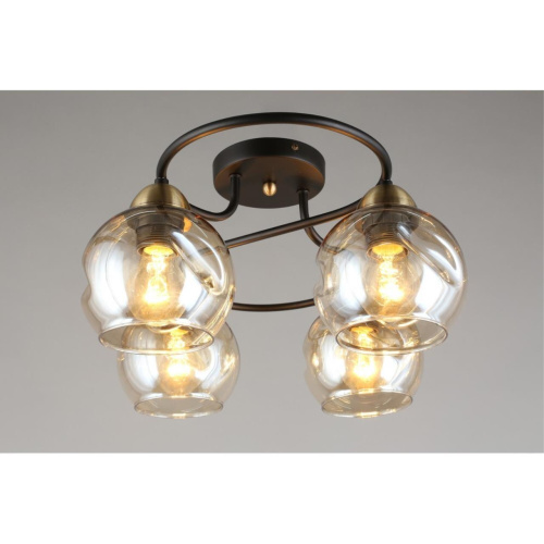 Люстра потолочная OML-95007-04 фото 9 Люстра потолочная OML-95007-04 фото 9