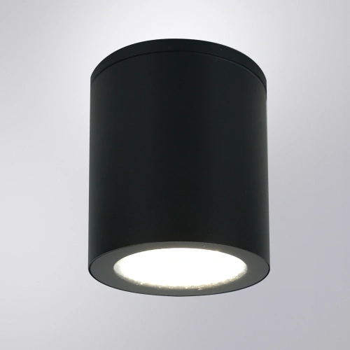 Уличный потолочный светильник Arte Lamp TORCULAR A1313PF-1BK фото 2 Уличный потолочный светильник Arte Lamp TORCULAR A1313PF-1BK фото 2