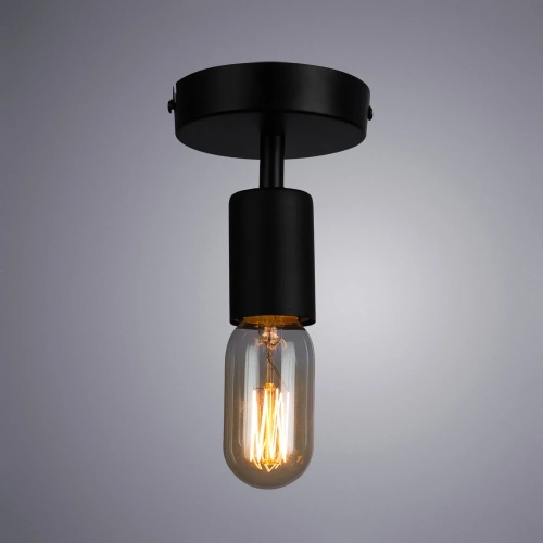 Потолочный светильник Arte Lamp FUORI A9184PL-1BK фото 2 Потолочный светильник Arte Lamp FUORI A9184PL-1BK фото 2