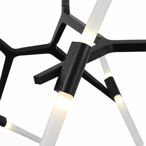 SL947.402.10 Люстра потолочная ST-Luce Черный/Белый G9 10*5W LACONICITA фото 9