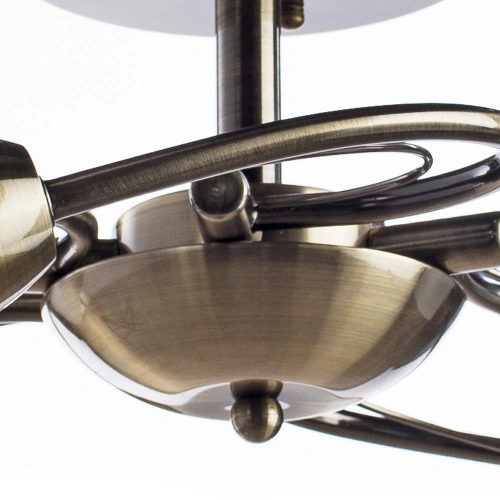 Потолочная люстра Arte Lamp INNOCENTE A6056PL-5AB фото 3 Потолочная люстра Arte Lamp INNOCENTE A6056PL-5AB фото 3
