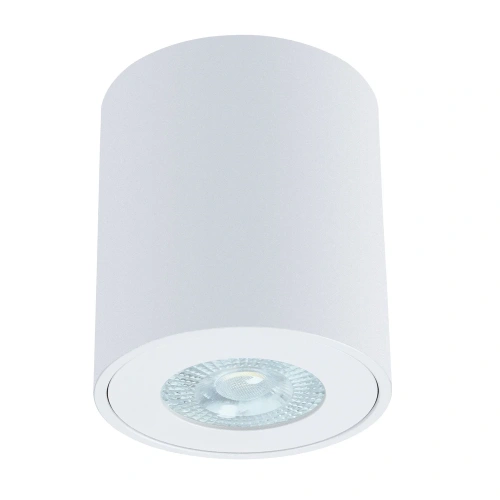 Точечный накладной светильник Arte Lamp TINO A1469PL-1WH Точечный накладной светильник Arte Lamp TINO A1469PL-1WH