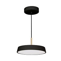 Подвесной светодиодный светильник Arlight SP-ELEGANT-R300-17W Warm3000 033921(1)