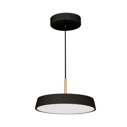 Подвесной светодиодный светильник Arlight SP-ELEGANT-R300-17W Warm3000 033921(1) Подвесной светодиодный светильник Arlight SP-ELEGANT-R300-17W Warm3000 033921(1)