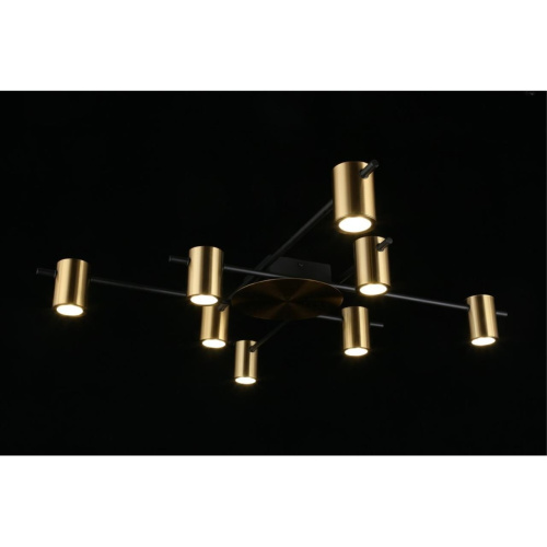 Люстра потолочная APL.633.07.08 фото 4 Люстра потолочная APL.633.07.08 фото 4