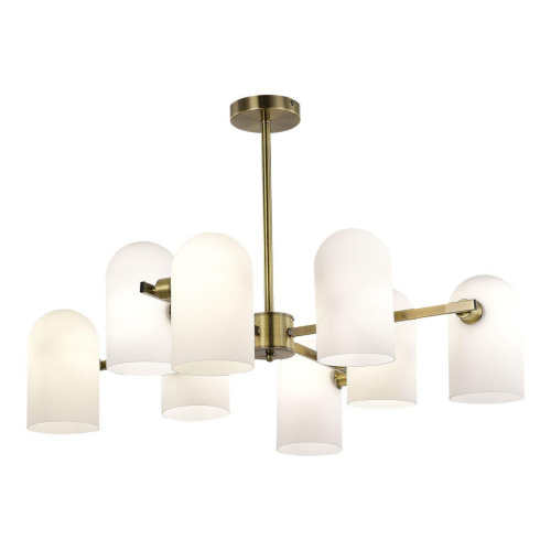 Подвесная люстра Evoluce Nobilia SLE1047-302-08 фото 4