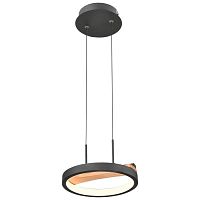 Подвесной светодиодный светильник Velante 450-023-01