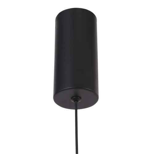 SL6210.403.04 Светильник подвесной ST-Luce Черный/Черный, Золотистый LED 4*3W 3000K LILT фото 3