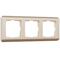 Рамка из поликарбоната на 3 поста Stream шампань W0032111