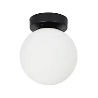 Настенно-потолочный светильник Arte Lamp ALCOR A2224PL-1BK
