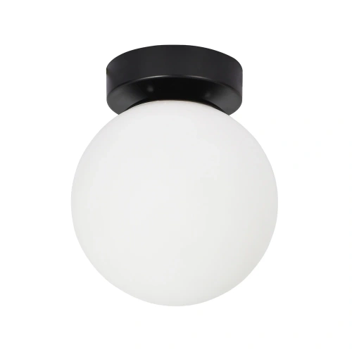 Настенно-потолочный светильник Arte Lamp ALCOR A2224PL-1BK
