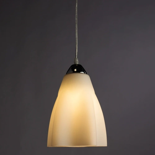 Подвесной светильник Arte Lamp CANZONE A3469SP-1CC фото 2