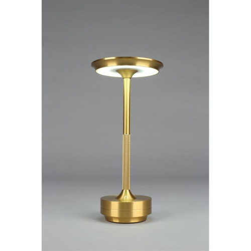 Настольная лампа OML-40414-01 фото 13